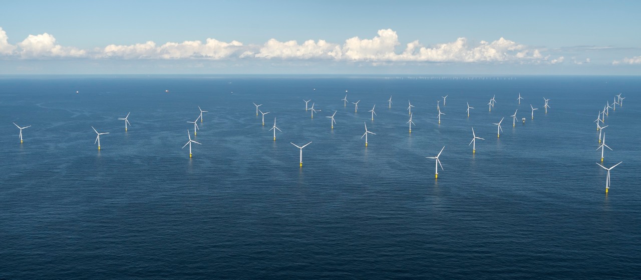 Wind farm at sunset