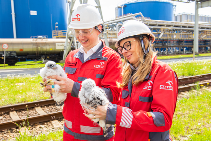 ORLEN employees working together